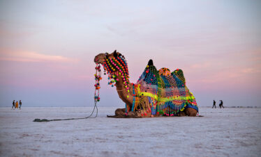Rann Utsav Package