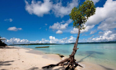 Exotic Andaman