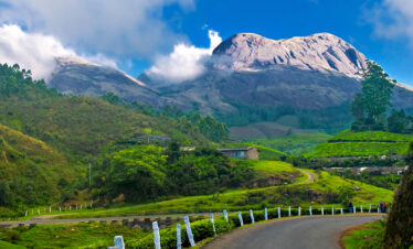 Exotic Kerala