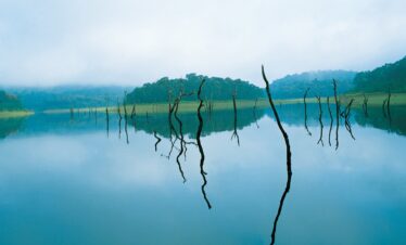 Best of Kerala